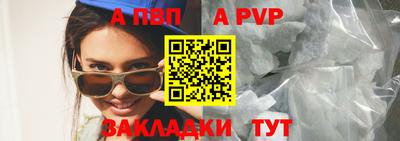 стаф Малгобек