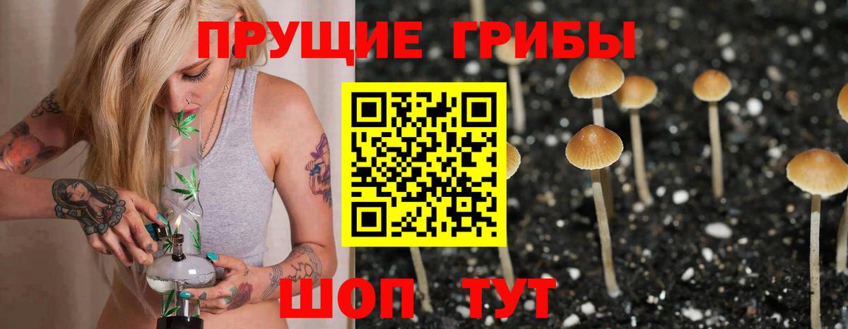 Волгодонск  Галлюциногенные грибы ЛСД  Вход с VPN 
